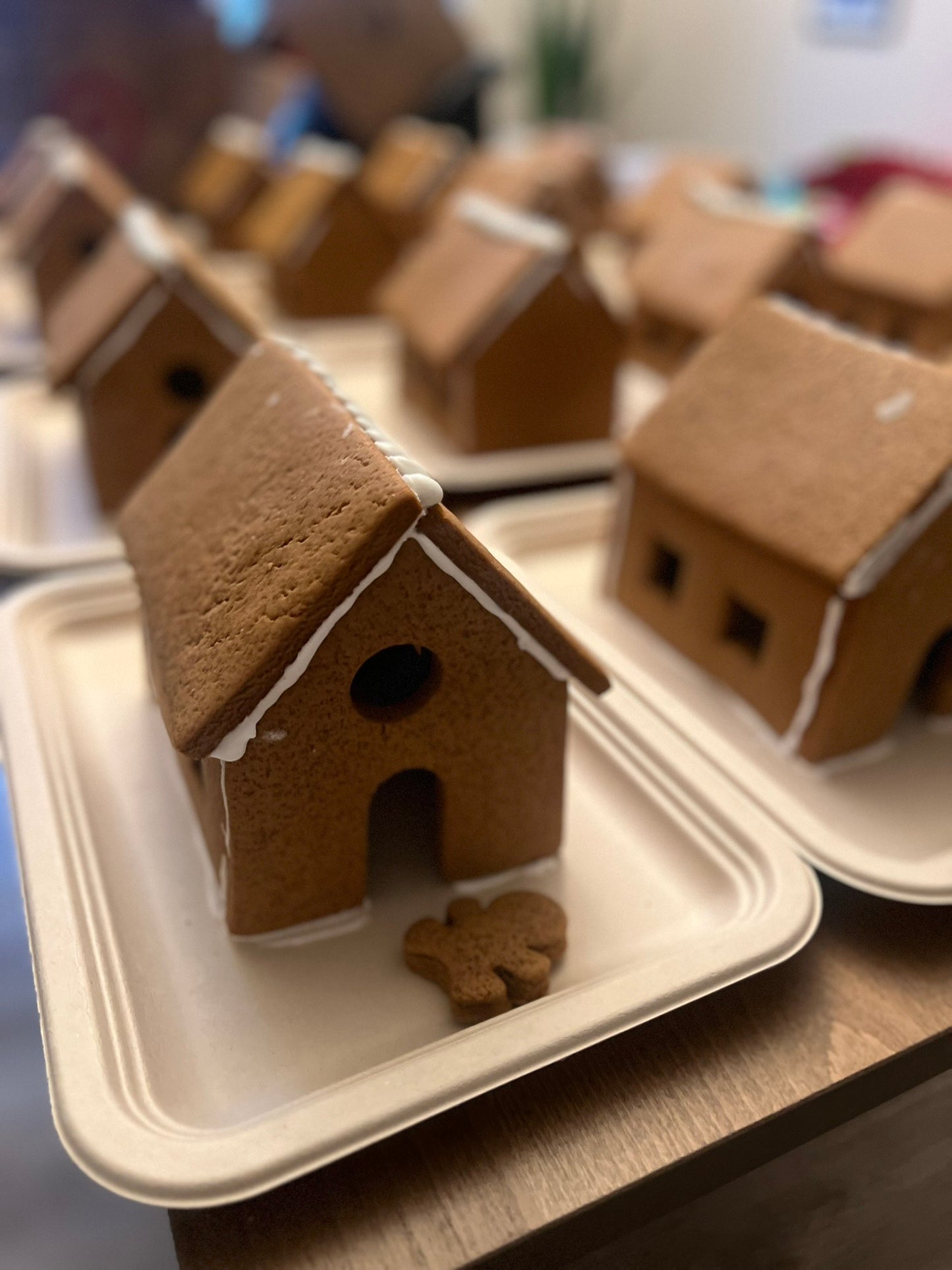 Gingerbread House Decorating