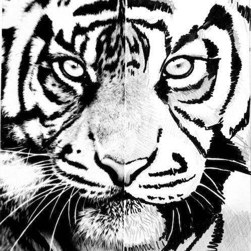 Drawing & Sketching