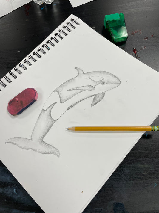 Wed, Sep 20th, 4-6P “Sketch Basics” Public Houston Kids Art Class